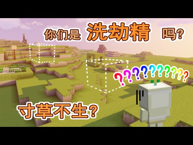 【大橙子】洗劫精上线,豆腐村庄一夜消失,村民只能卖身求庇护